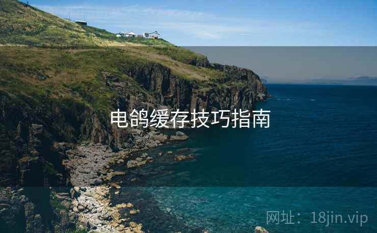 电鸽缓存技巧指南