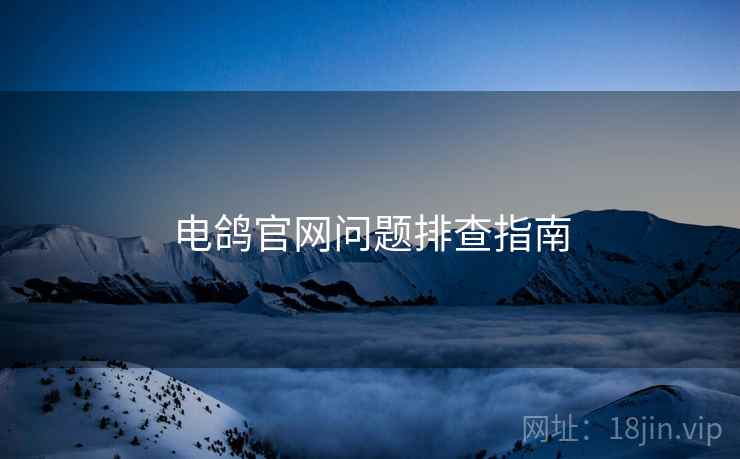 电鸽官网问题排查指南