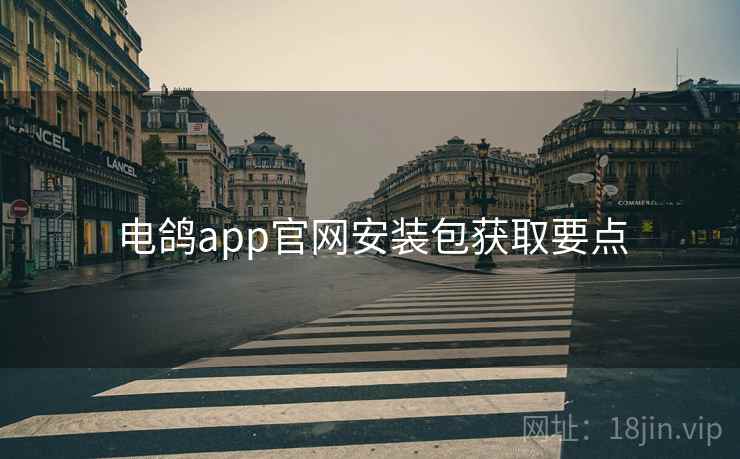 电鸽app官网安装包获取要点