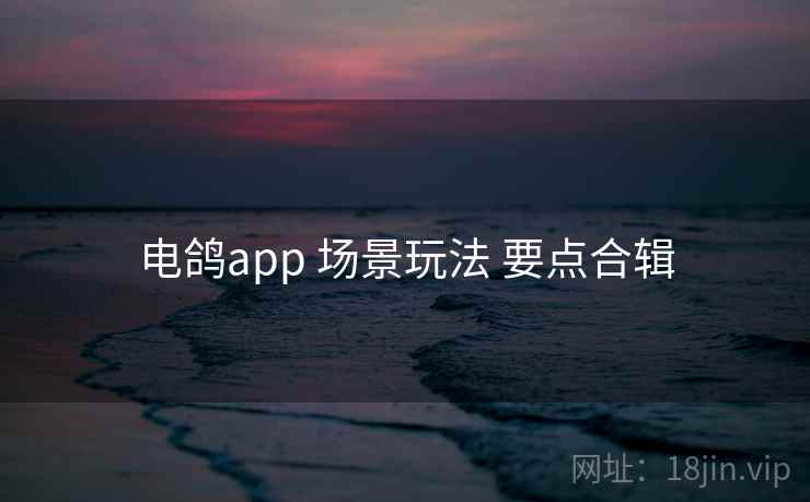 电鸽app 场景玩法 要点合辑