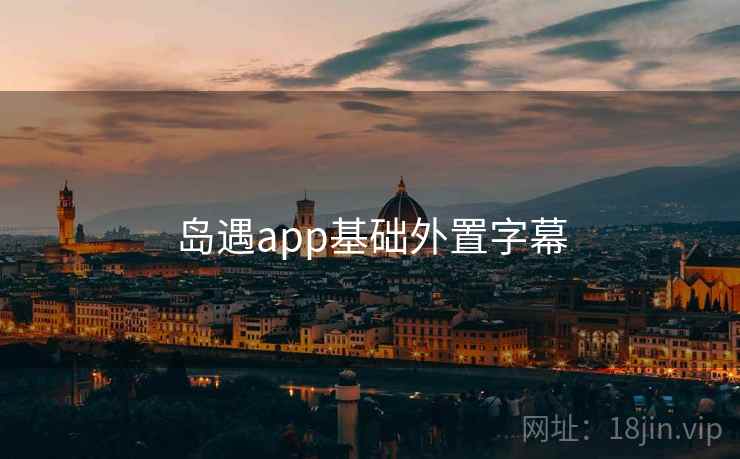岛遇app基础外置字幕