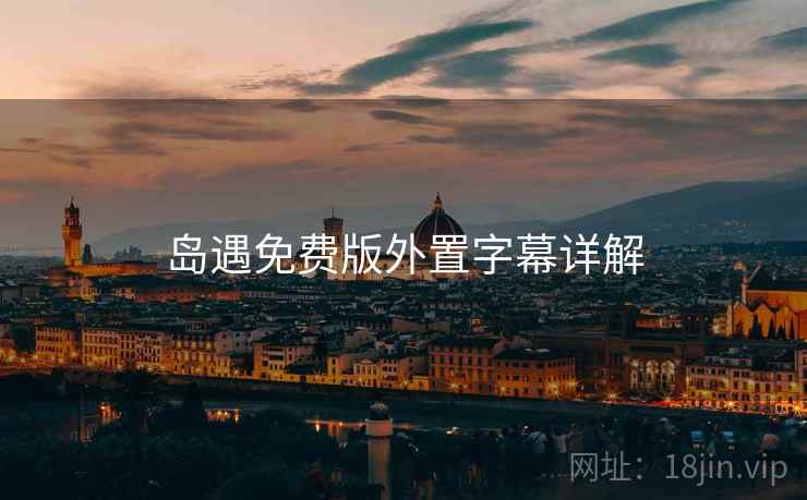 岛遇免费版外置字幕详解