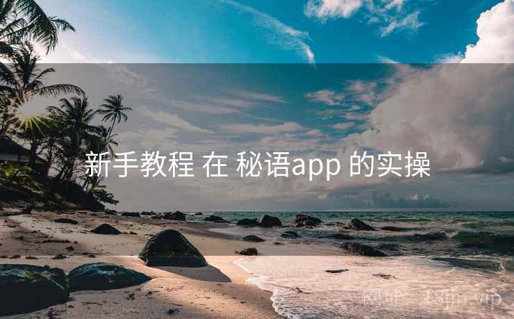 新手教程 在 秘语app 的实操