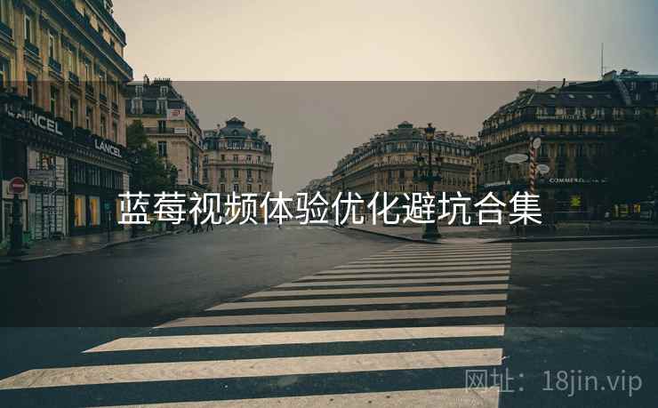 蓝莓视频体验优化避坑合集