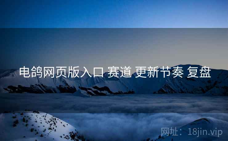 电鸽网页版入口 赛道 更新节奏 复盘
