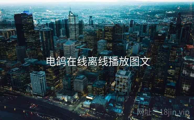 电鸽在线离线播放图文 电鸽在线离线播放图文