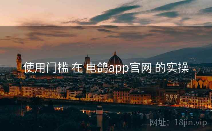 使用门槛 在 电鸽app官网 的实操