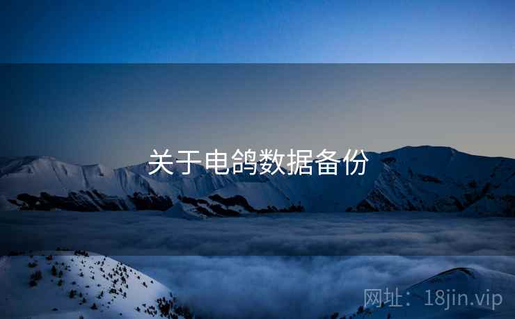 关于电鸽数据备份