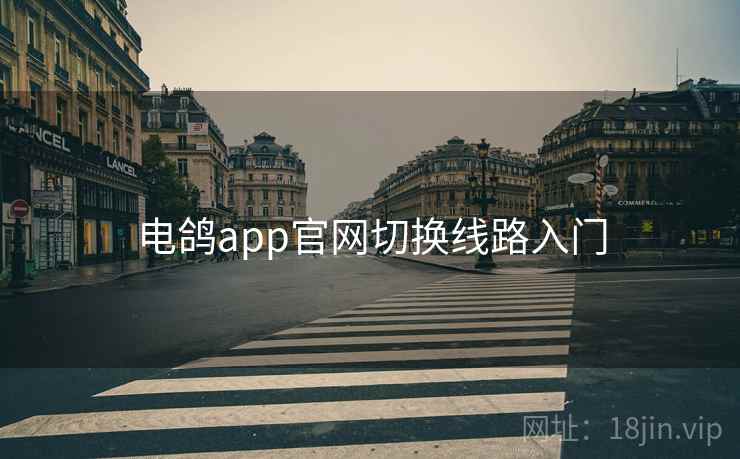 电鸽app官网切换线路入门