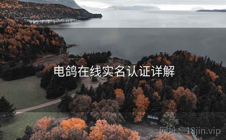 电鸽在线实名认证详解
