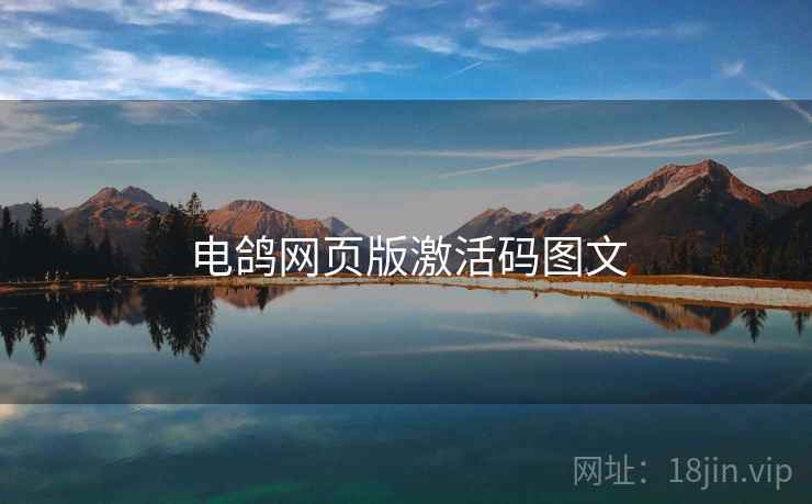 电鸽网页版激活码图文