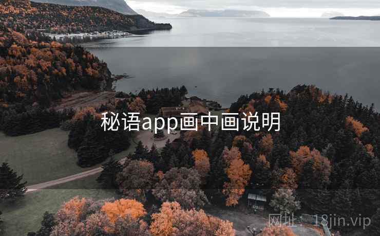 秘语app画中画说明