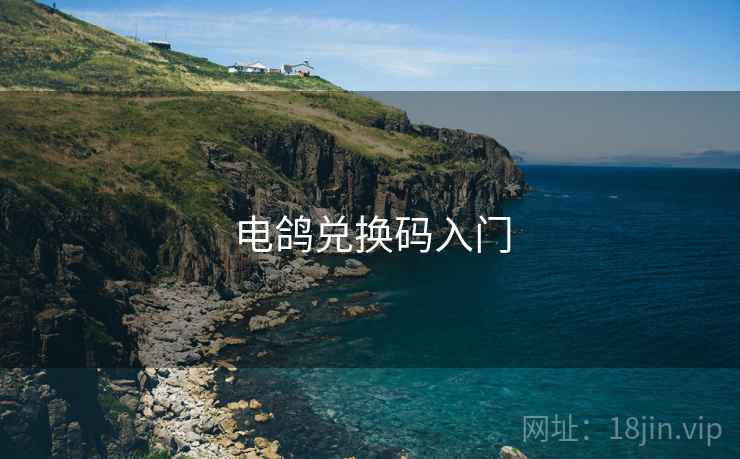 电鸽兑换码入门