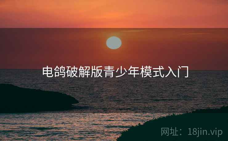 电鸽破解版青少年模式入门