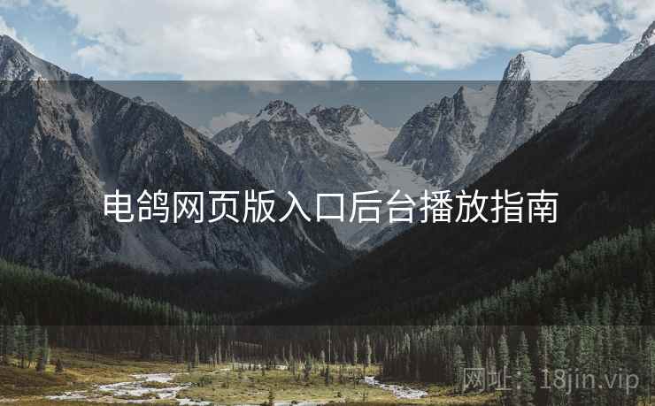 电鸽网页版入口后台播放指南