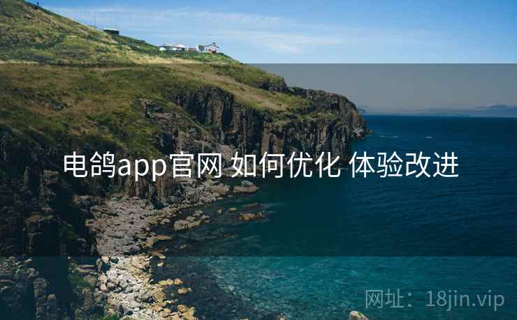 电鸽app官网 如何优化 体验改进